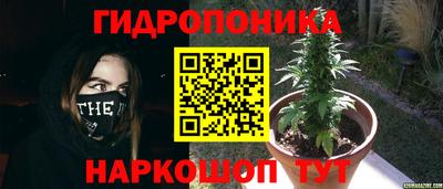 каннабис Ирбит