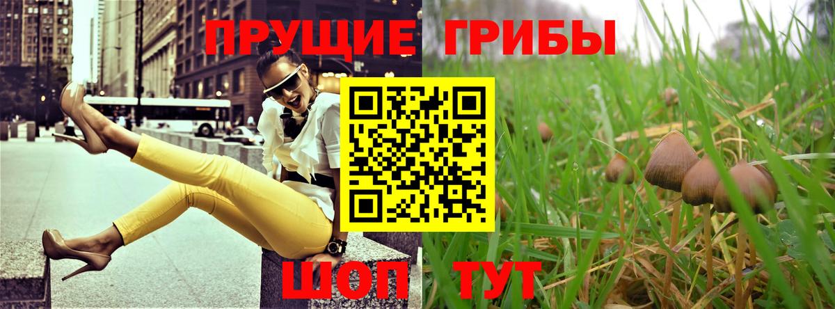 Псилоцибиновые грибы прущие грибы Лабытнанги