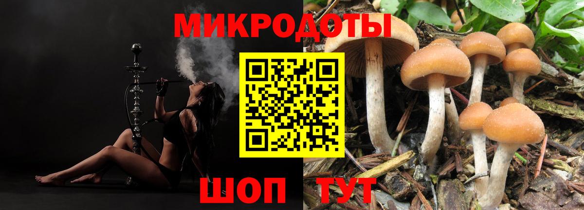 Лабытнанги  Галлюциногенные грибы Psilocybine cubensis  Вход с VPN  Псилоцибиновые грибы мицелий 